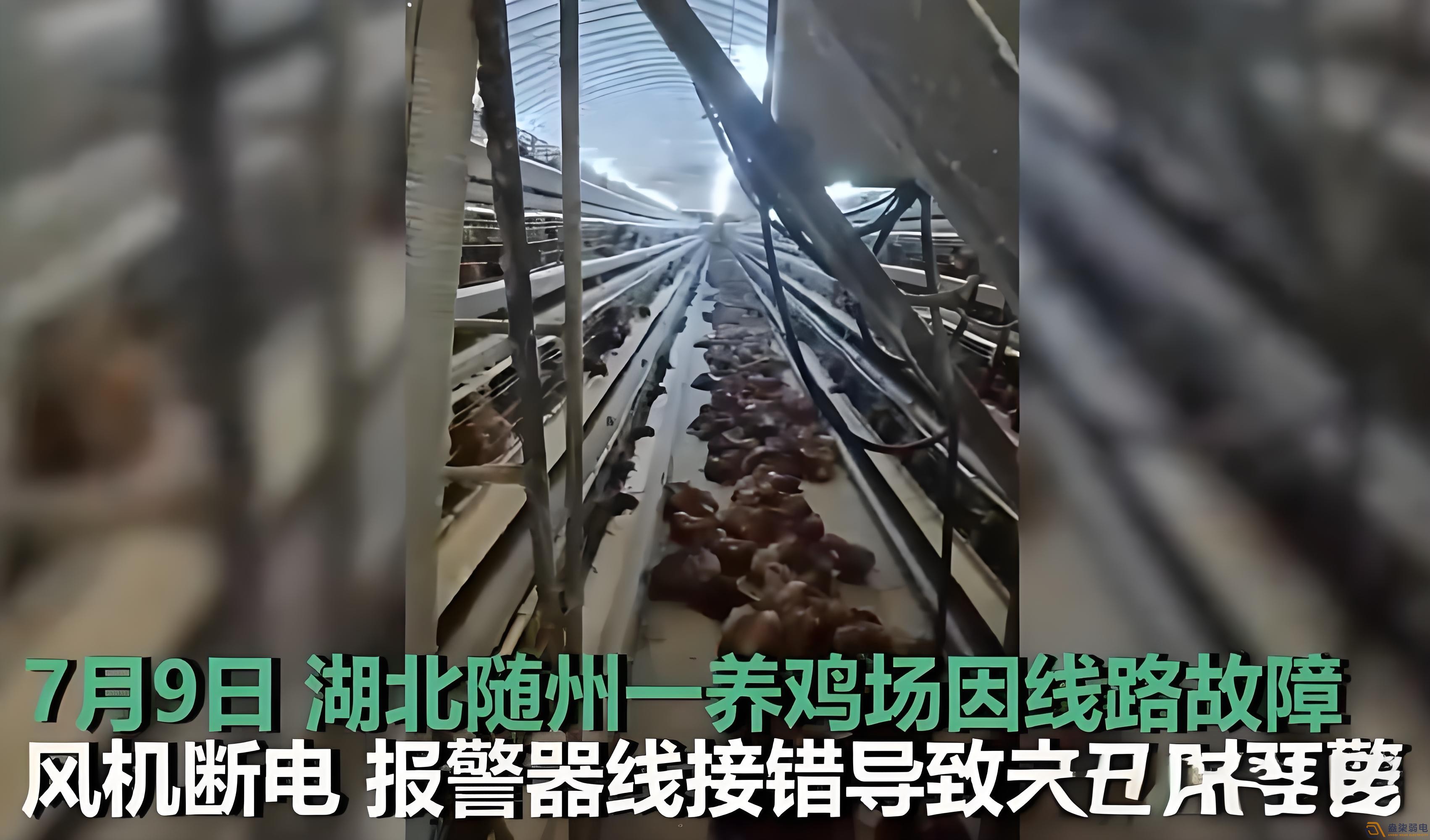 養雞場為什么要24h監測溫濕度斷電報警器？